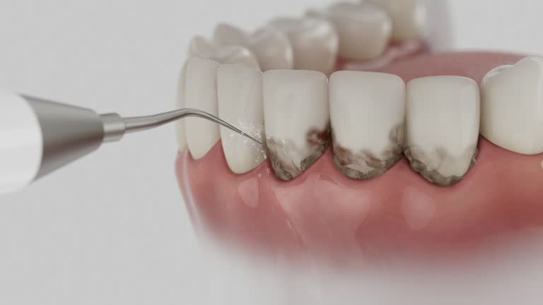 Reliable Dental contractor in Underwood-Petersville, AL by Dentist Open Now